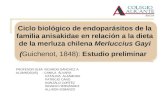 CICLO BIOLOGICO DE ENDOPARÁSITOS DE LA MERLUZA