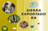 DIAPOSITIVAS SIERRA EXPORTADORA - 2012 UNCP FATS