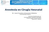 1.Anestesia Neonatal. 2010. Anzorena