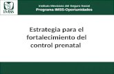 Presentación control prenatal (16-05-12) 5.
