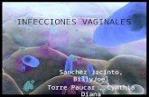 Infecciones vaginales