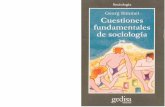 Cuestiones Fundamentales de Sociologia - George Simmel