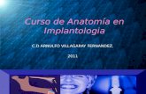 1 Clase Anatomia Implantologica[1]
