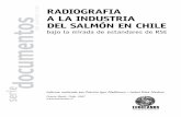 Radiografia a La Industria Del Salmon