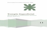 6-Temple Superficial - Buchini