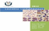 Leucemia Linfoblastica Aguda Q.C. 3af [Completo]