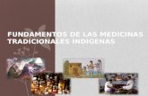 Practica Medica Indigena