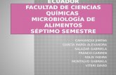 ANALISIS DE RIESGOS MICROBIOLOGICOS DE CONTAMINACIÓN POR PATÓGENOS EN EL PROCESO PRIMARIO DE LECHE CRUDA