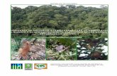 2000-Ministerio Del Medio Ambiente-C&I Para La Ordencion Forestal Sostenible de Los Bosques Naturales de Colombia