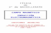 3.2 - CAMPO MAGNÉTICO E INDUCCIÓN ELECTROMAGNÉTICA - CUESTIONES RESUELTAS DE ACCESO A LA UNIVERSIDAD