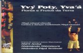 Yvý Poty Yva á Flores e Frutos da Terra - Mbyá mboraí nhendú Cantos e danças tradicionais Mbyá-Guarani