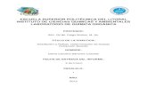 Informe de laboratorio de química orgánica: Destilación a reflujo: determinación de grasas extracción Soxhlet ESPOL