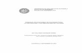 38201439 Diversas Aplicaciones de Gaviones Para La Proteccion y Estabilizacion de Taludes