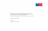 Informe Inicial de Aplicación de la Convención sobre los Derechos de las Personas con Discapacidad (Chile)