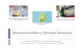 Biocombustibles y Biología Sintética