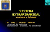25 Sistema Extrapiramidal