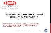 Norma Oficial Mexicana NOM 019 STPS 2011