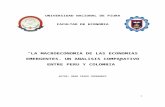 LA MACROECONOMIA DE LAS ECONOMIAS EMERGENTES. UN ANALISIS COMPARATIVO ENTRE PERU Y COLOMBIA