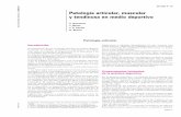 Patologia Articular Muscular y Tendinosa en Medio Deportivo
