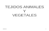 Tejidos Animales y Vegetales 2010 Vlady