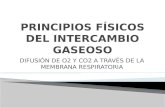 PRINCIPIOS FÍSICOS DEL INTERCAMBIO GASEOSO (39)
