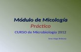 Módulo de Micología. Practico. Microbiol. S.L..ppt