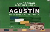 Fernandez Carneiro, Jose Manuel - Las Paginas Mas Bellas de San Agustin