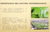Diapo 3 Control Microbiologico