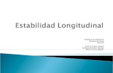 Estabilidad Longitudinal