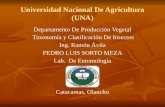 Universidad Nacional de Agricultura II