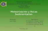 Expo Geologia Meteorizacion y Rocas Sedimentarias