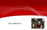 Polimeros Expo[1]