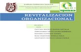 Revitalizacion organizacional