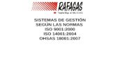 Sistemas de Gestion Segun Las Normas Iso 9001-2000