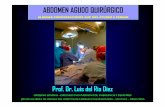 ABDOMEN AGUDO QUIRÚRGICO ALGUNAS REFLEXIONES QUE NOS AYUDEN A PENSAR. Prof. Dr. Luis del Rio Diez