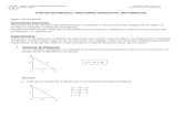 Guía de trigonometría 3° Medio