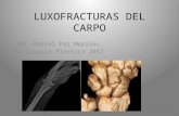 Tema 19 Luxofracturas Del Carpo