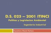 DS025-2001 ITINCI -Sheyla Pacheco Pinto