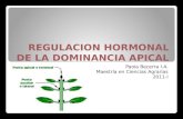 REGULACION HORMONAL DE LA DOMINANCIA APICAL