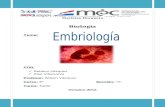 Embriologia 2