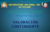VALORACION CONTINGENTE_G4