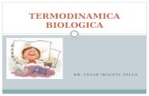 Clase 6- Termometria