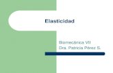 Biofisica Medica Elasticidad