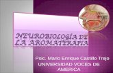 neurobiologia-aromaterapia (PPTminimizer)