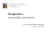 Erupcion y Recambio 2012