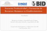 Encuesta: productividad y formación de recursos humanos en establecimientos