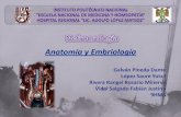 Anatomia Y Embriología del Aparato Urinario (1)