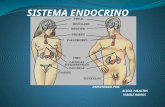 Diapositivas Sistema Endocrino
