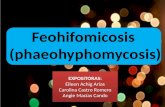 Feohifomicosis Micologia Expo