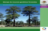 Manejo de Recursos Geneticos Forestales (CONAFOR)